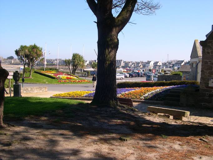  parterre de fleurs